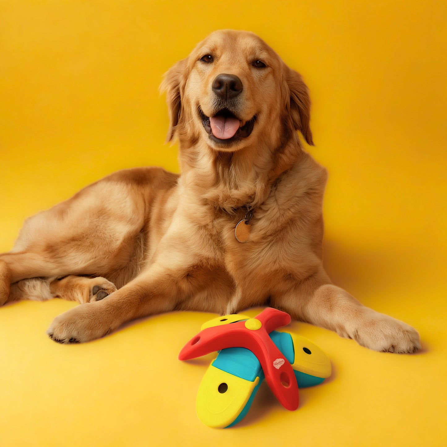 iQuties Twist & Flip Interactive Puzzle Treat Dispenser Dog Toy