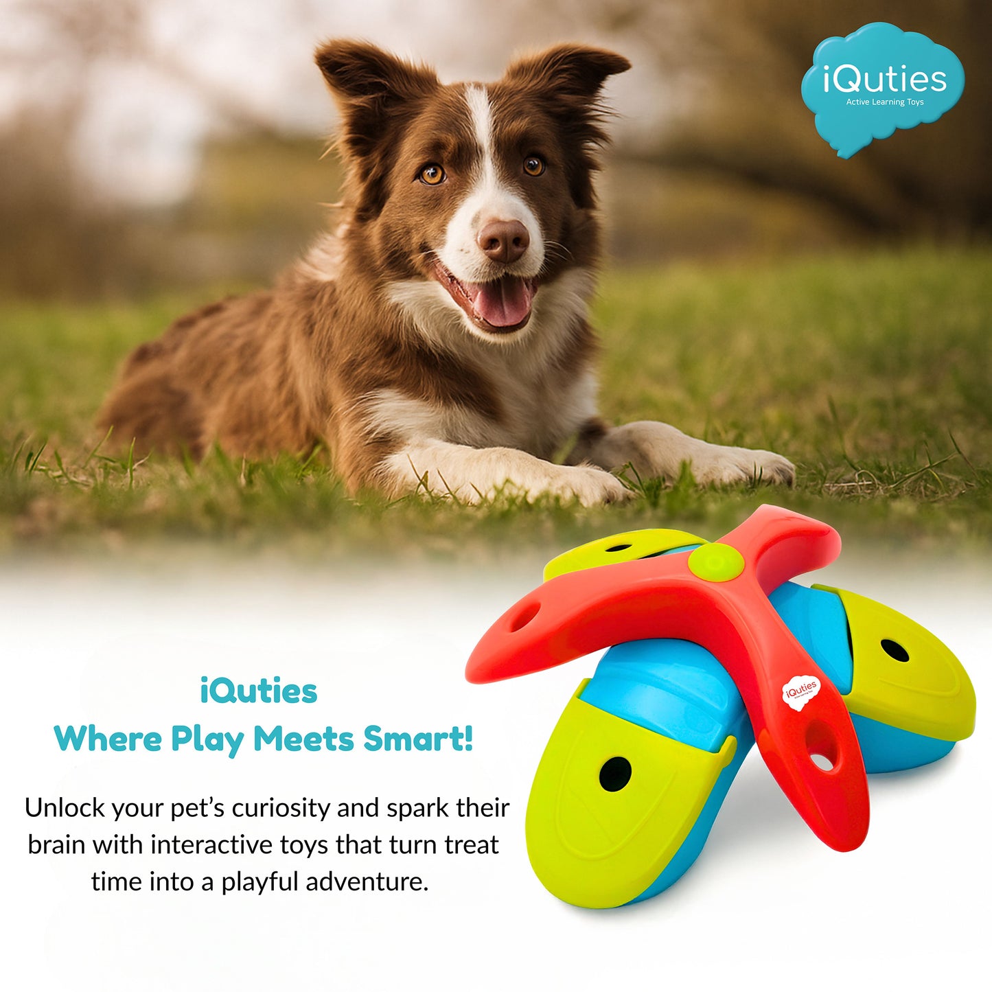 iQuties Twist & Flip Interactive Puzzle Treat Dispenser Dog Toy