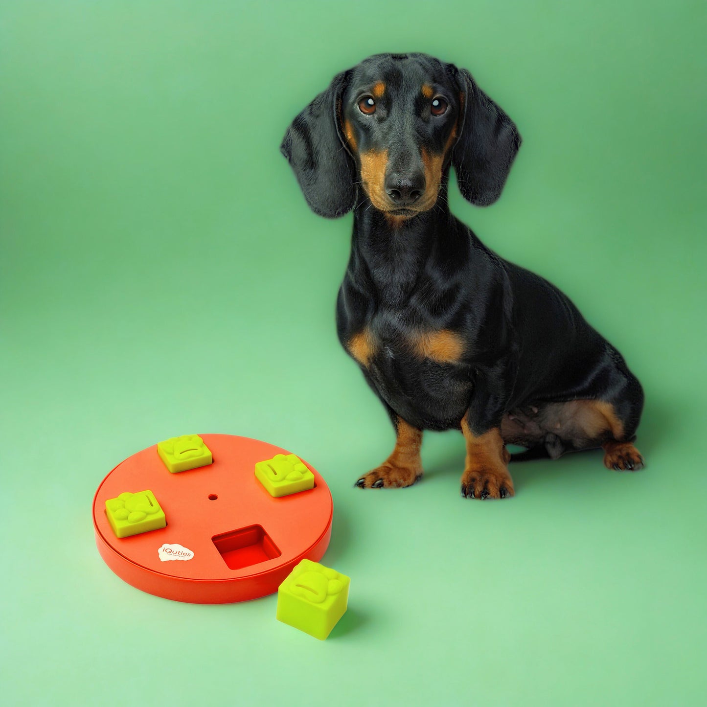 iQuties Wheel Interactive Puzzle Treat Dispenser Dog Toy