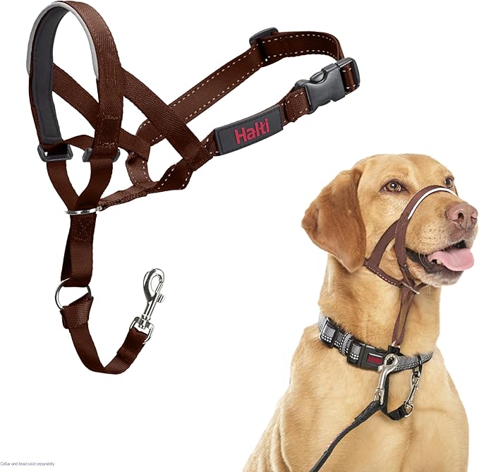 Halti Train Headcollar Deep Walnut