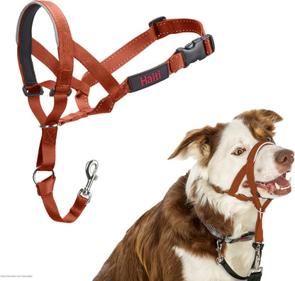 Halti Train Headcollar Burnt Orange
