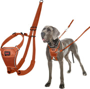 Halti Train No Pull Harness Burnt Orange