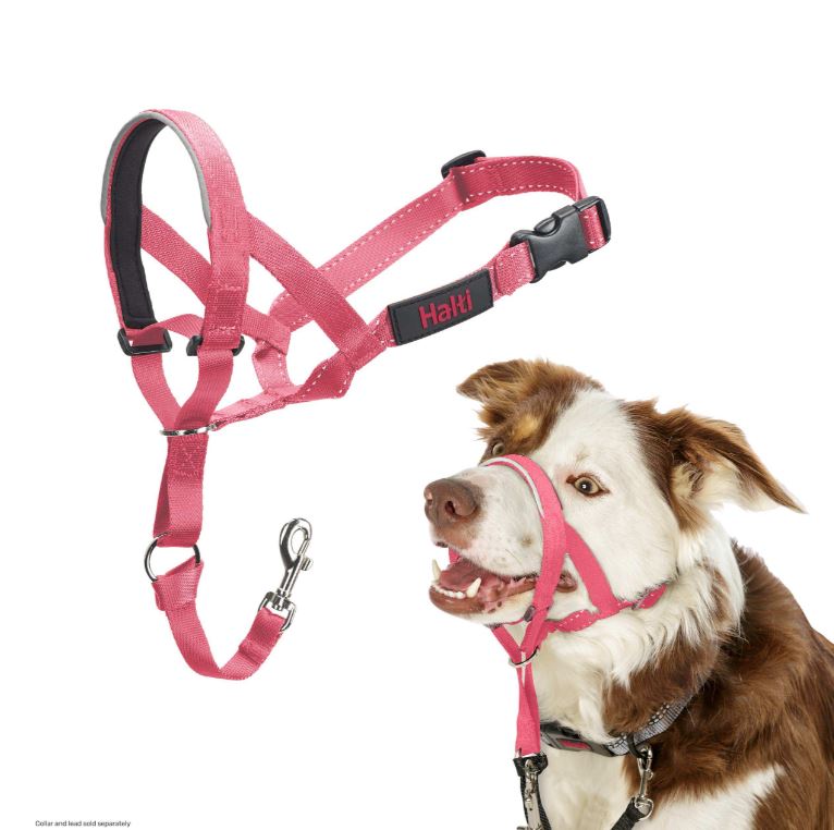 Halti Train Headcollar Pink
