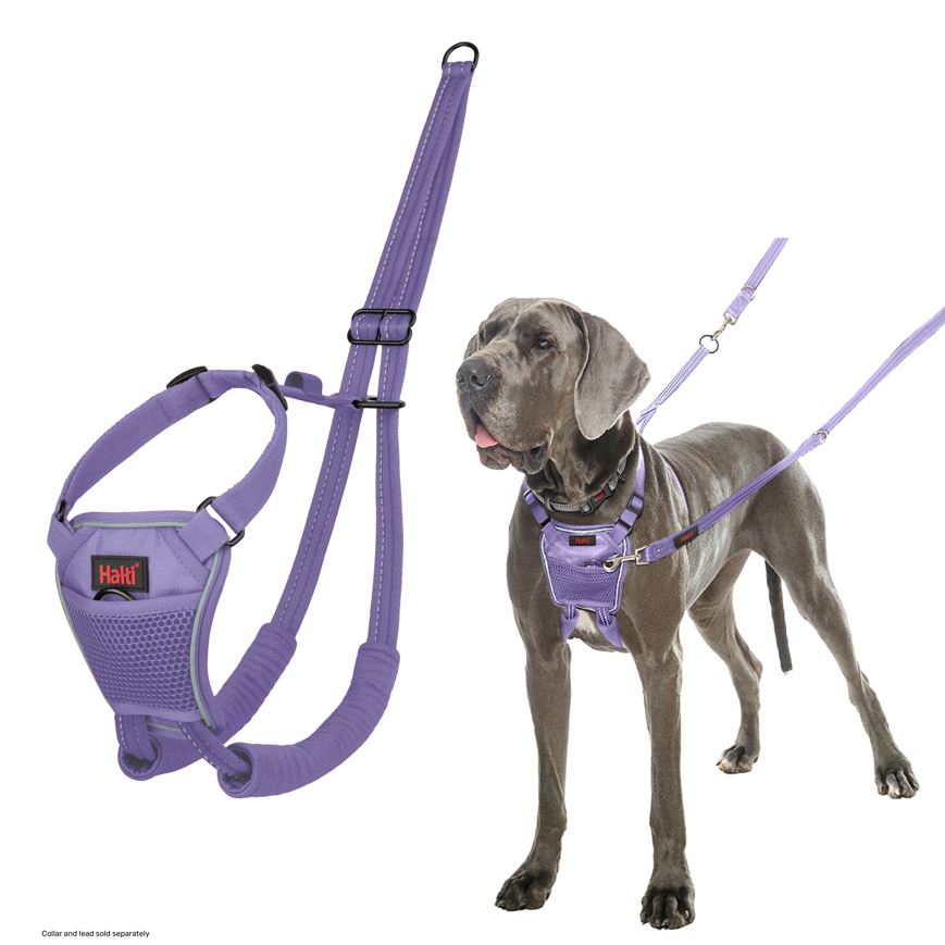 Halti Train No Pull Harness Purple