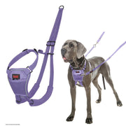 Halti Train No Pull Harness Purple