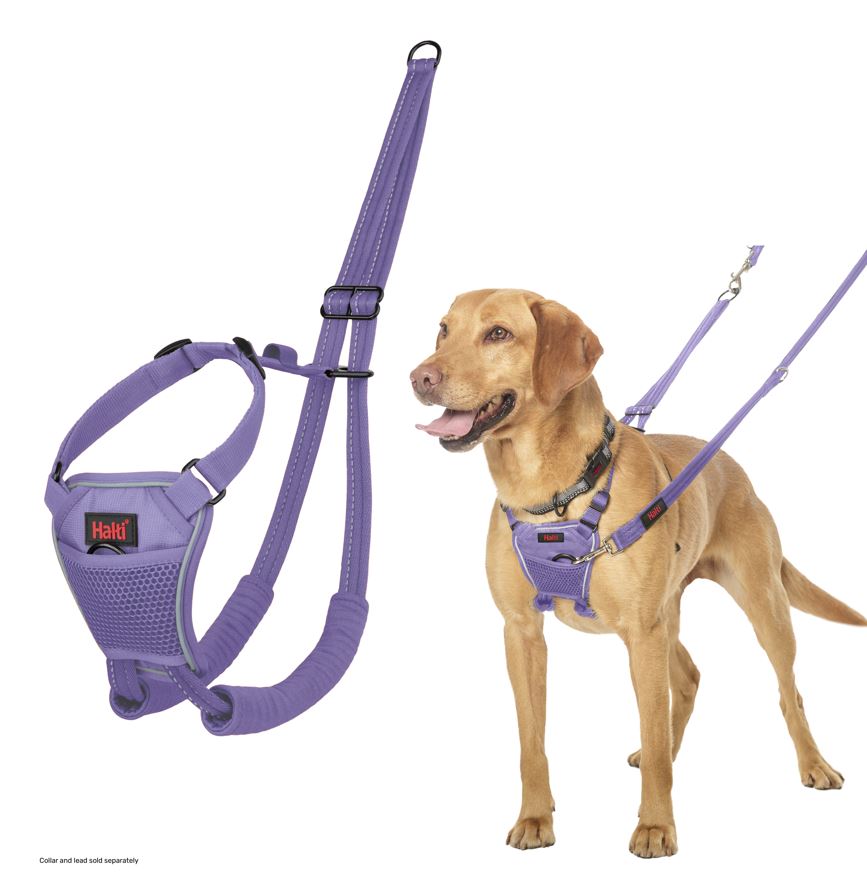 Halti Train No Pull Harness Purple