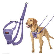 Halti Train No Pull Harness Purple