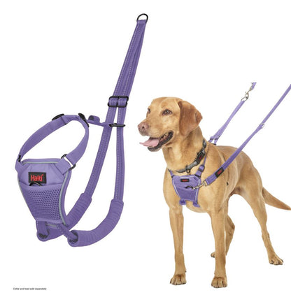 Halti Train No Pull Harness Purple