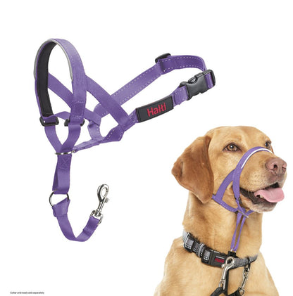 Halti Train Headcollar Purple